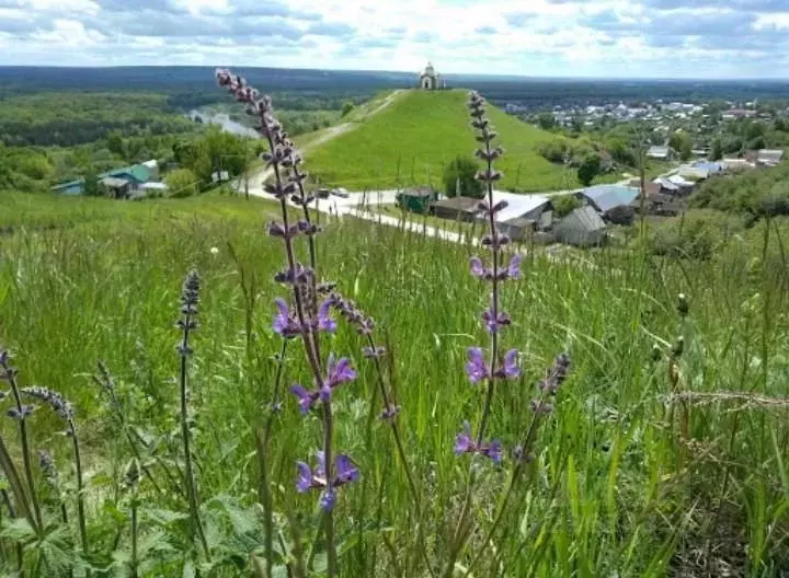 Дом в Ульяновская область, Сурское рп ул. Жигарина (80 м) - Фото 1