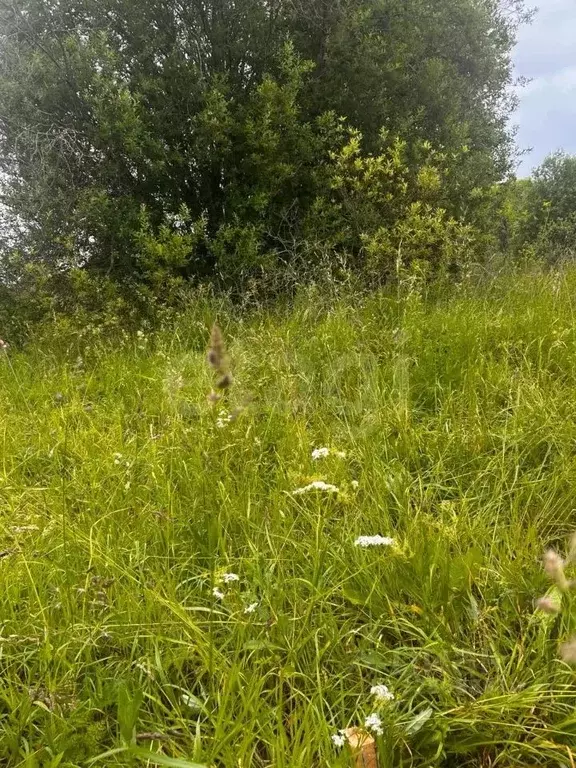 Участок в Вологодская область, пос. Фетинино  (13.81 сот.) - Фото 2