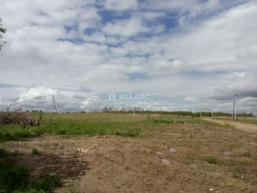 Участок в Владимирская область, Судогодский муниципальный округ, д. ... - Фото 1