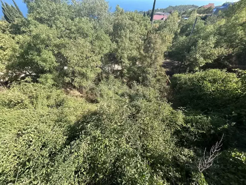 Участок в Крым, Алушта муниципальный округ, с. Малый Маяк ул. ... - Фото 0