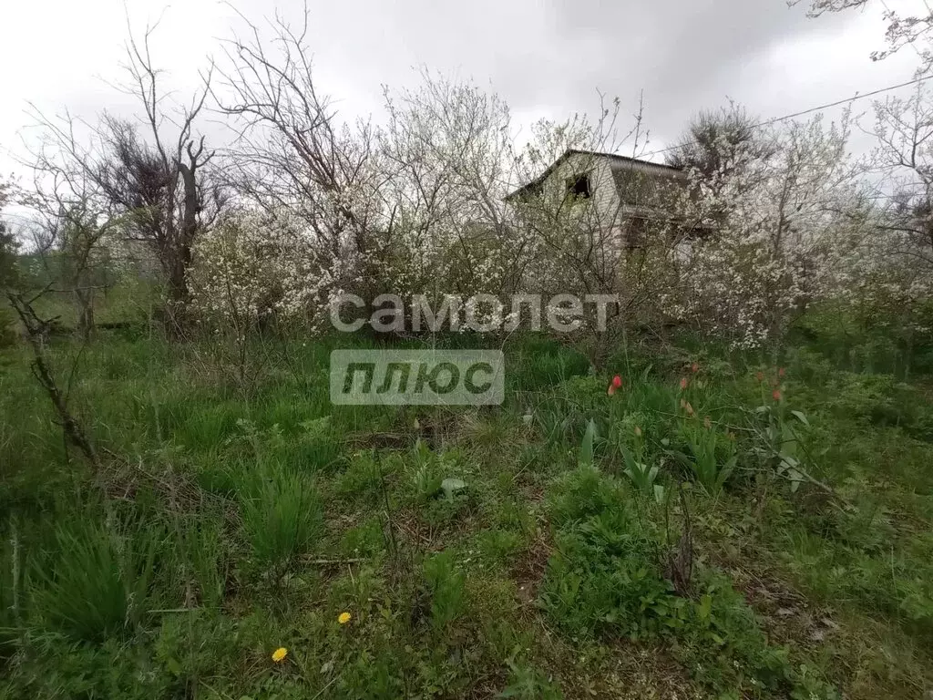 Участок в Волгоград, улица Неждановой (5.29 м) - Фото 1