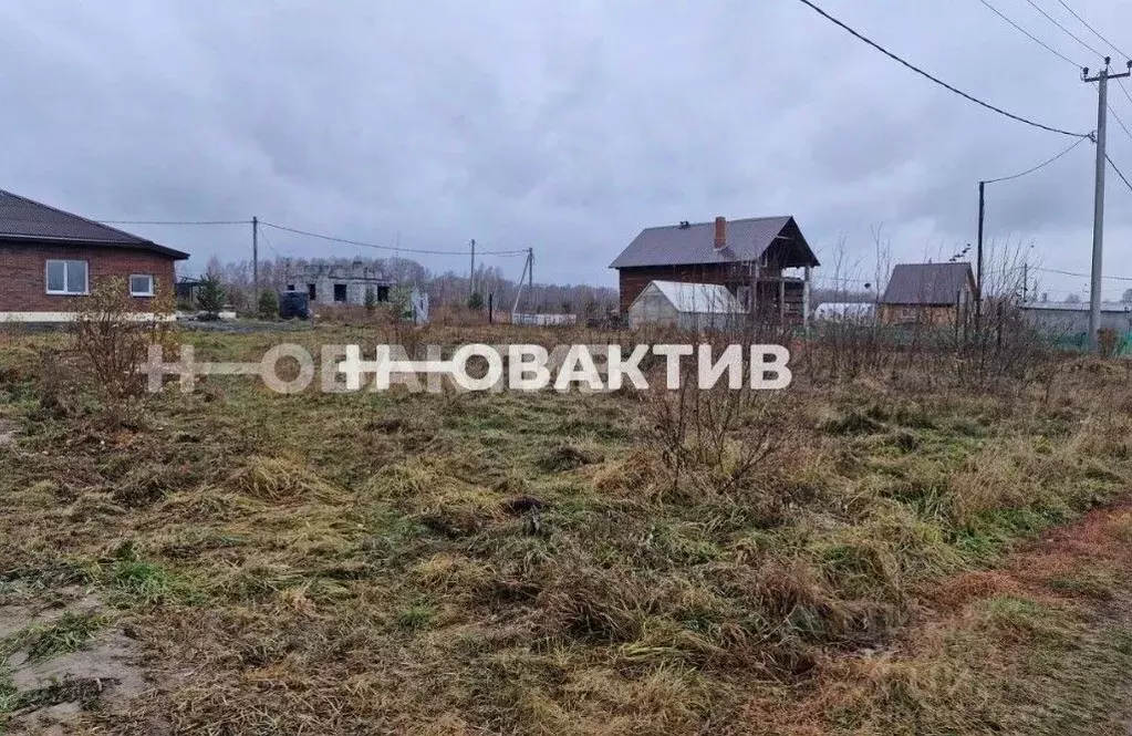 Участок в Новосибирская область, Новосибирский район, Станционный ... - Фото 2