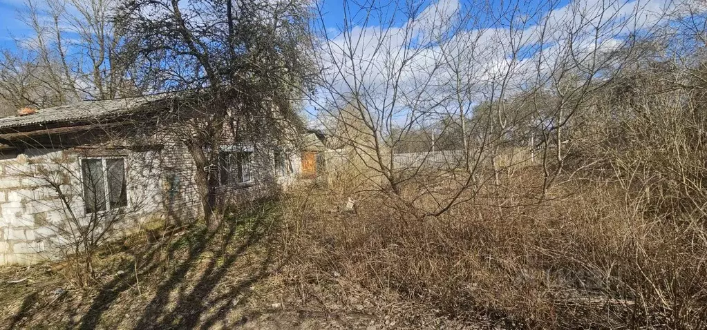 Дом в Ленинградская область, Лужский район, д. Ретюнь  (94 м) - Фото 0