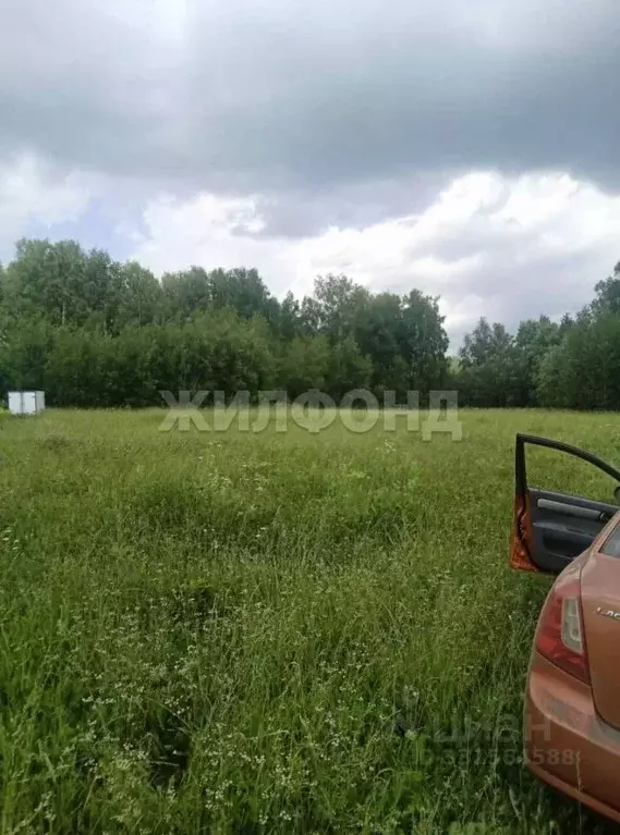 Участок в Новосибирская область, Мошковский район, с. Новомошковское ... - Фото 2