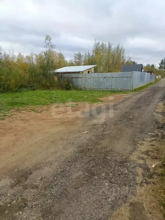 Участок в Ярославская область, Ярославский муниципальный округ, Недра ... - Фото 2