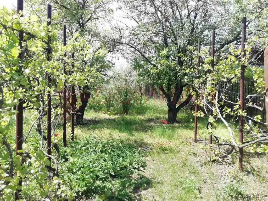 Участок в Ростовская область, Новочеркасск Харьковское ш., 40 (6.0 ... - Фото 1