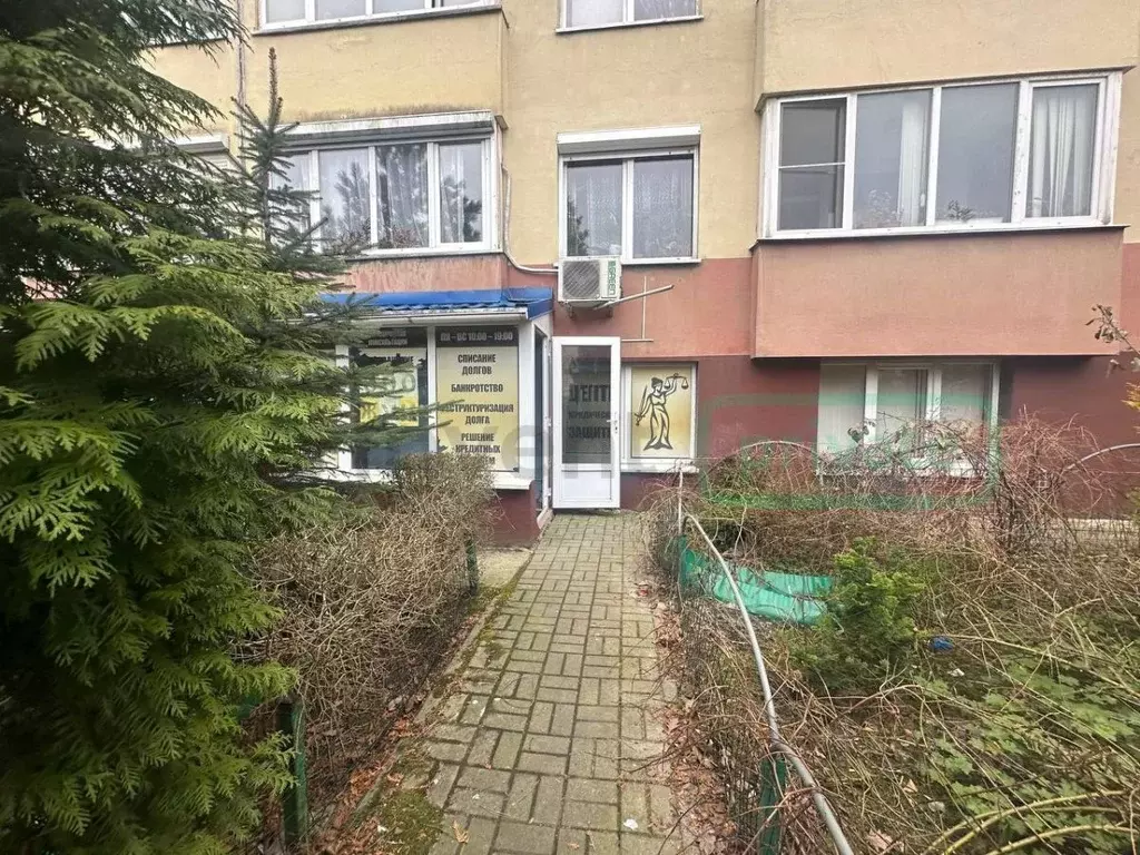 Офис в Калининградская область, Калининград Сельма мкр, ул. Виллима ... - Фото 0