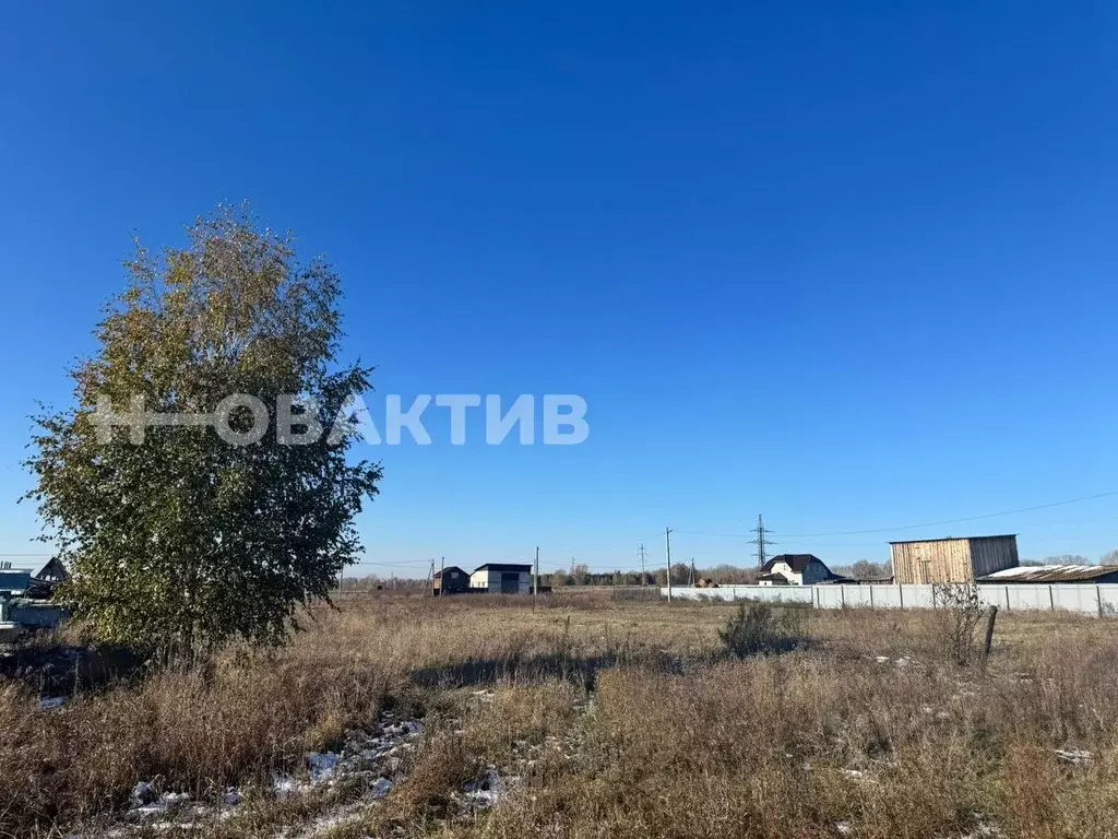 Участок в Новосибирская область, Ордынский район, с. Красный Яр ул. ... - Фото 1