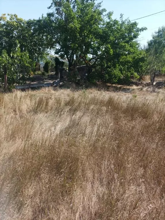 Участок в Крым, Ленинский район, Щелкино городское поселение, ... - Фото 2