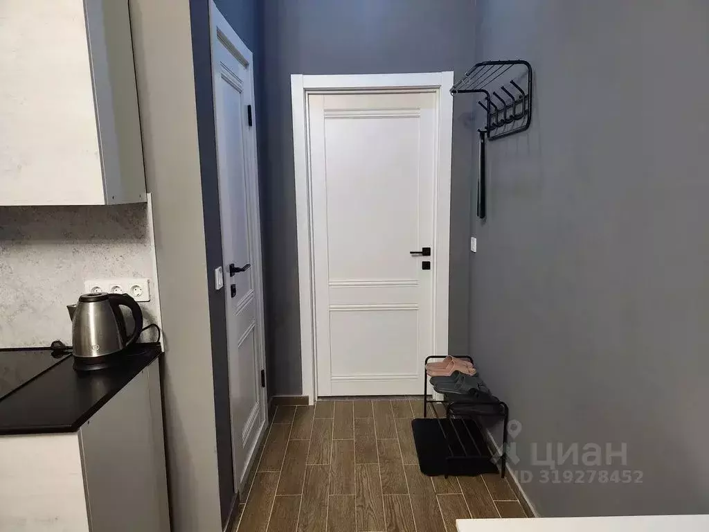 Студия Воронежская область, Воронеж Краснознаменная ул., 167 (25.0 м) - Фото 2