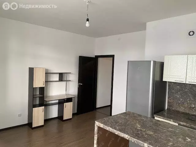 Квартира-студия: Санкт-Петербург, Арцеуловская аллея, 23к1 (25.5 м) - Фото 0