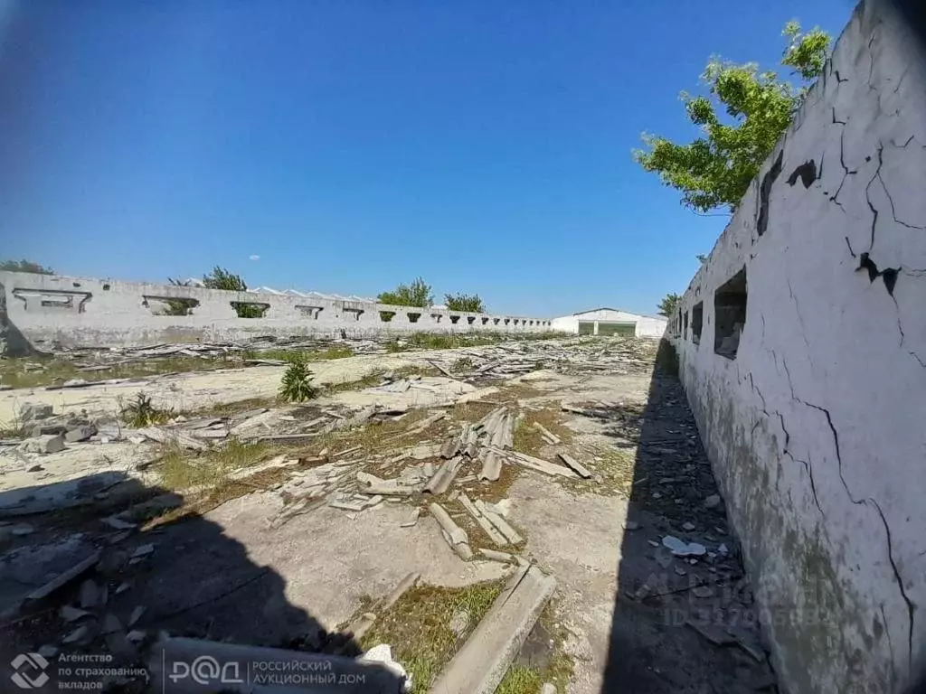 Производственное помещение в Курская область, Щигровский район, с. ... - Фото 1