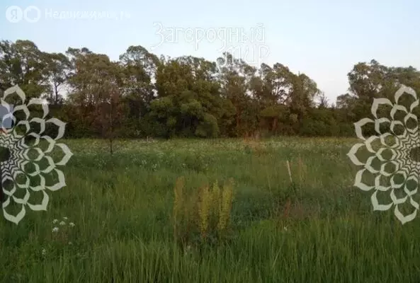 Участок в Орехово-Зуевский городской округ, деревня Старово, 15 (15 м) - Фото 2