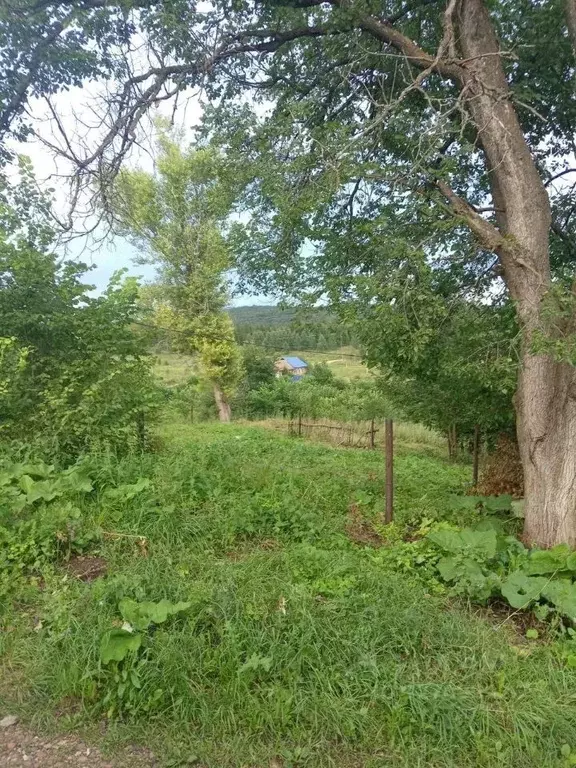 Участок в Башкортостан, Гафурийский район, Красноусольский сельсовет  ... - Фото 1