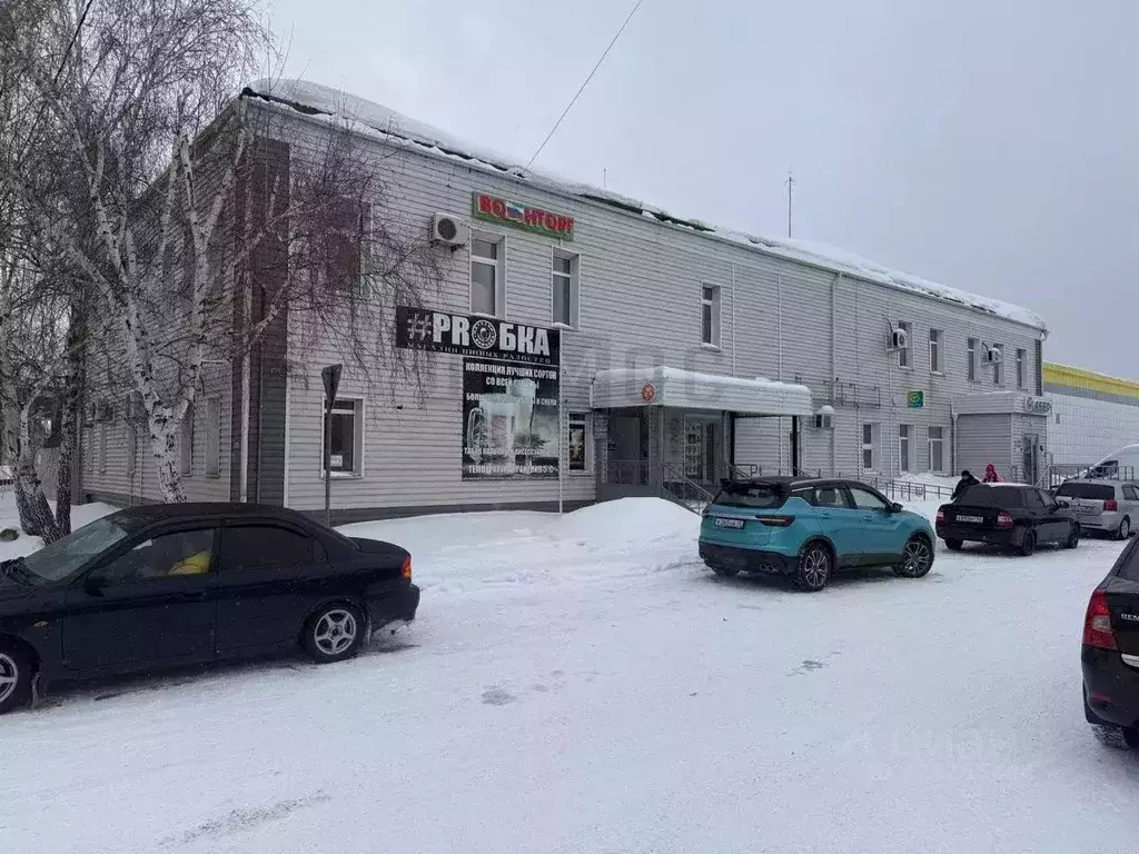 Помещение свободного назначения в Курганская область, Куртамыш ул. ... - Фото 1