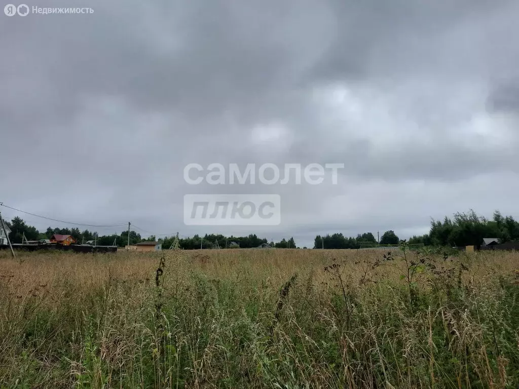 Участок в Ярославская область, Переславль-Залесский муниципальный ... - Фото 0