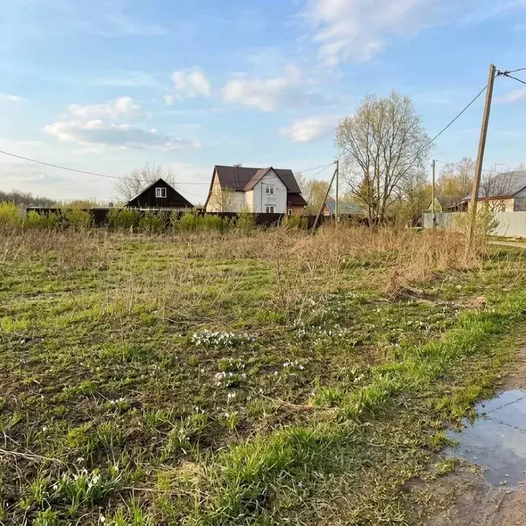 Участок в Оренбургская область, Оренбургский район, Степановский ... - Фото 2