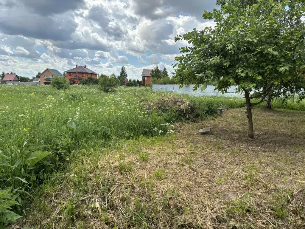 Участок в Московская область, Луховицы муниципальный округ, с. ... - Фото 1