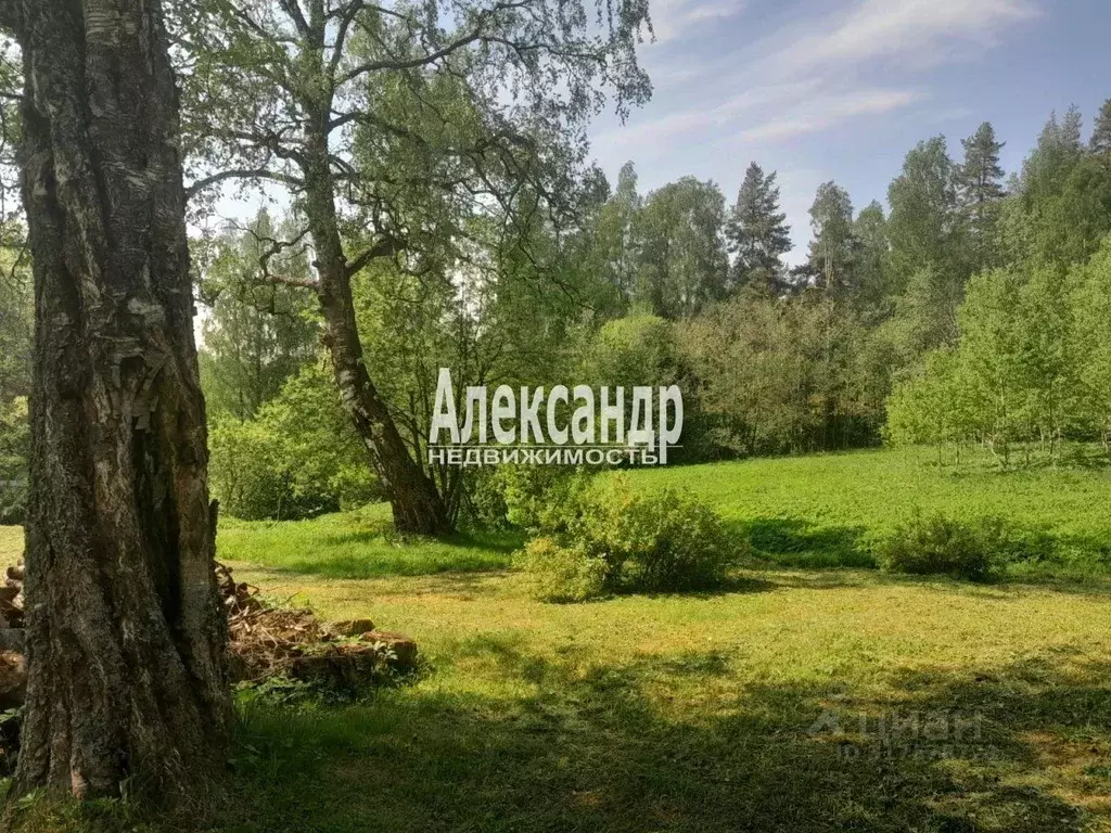 Дом в Карелия, Лахденпохский муниципальный округ, пос. Кортела ул. ... - Фото 1