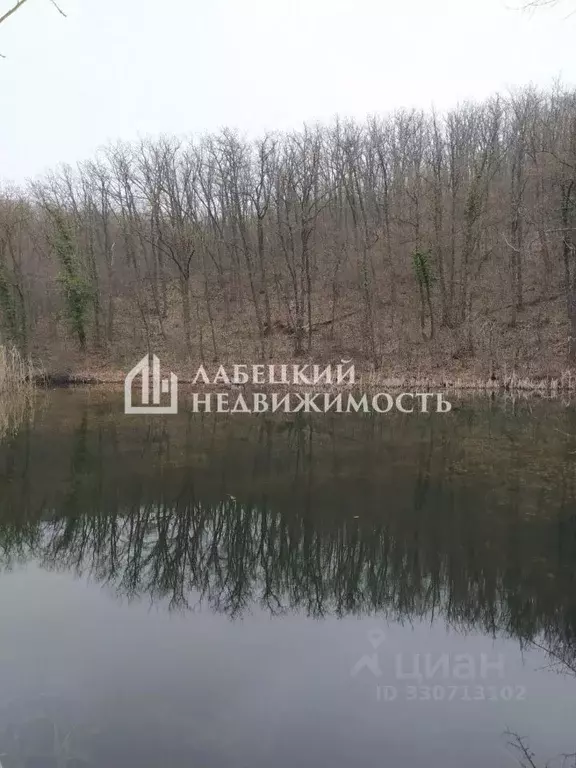 Помещение свободного назначения в Крым, Белогорский район, Курское ... - Фото 1