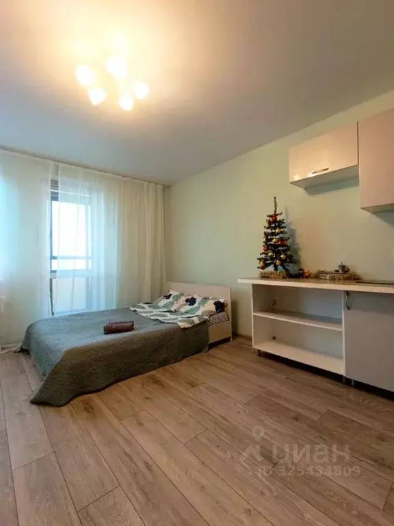 Студия Ленинградская область, Ломоносовский район, Виллозское ... - Фото 1