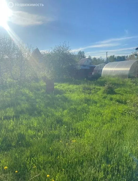 Дом в Челябинская область, Сосновский муниципальный округ, СНТ ... - Фото 1