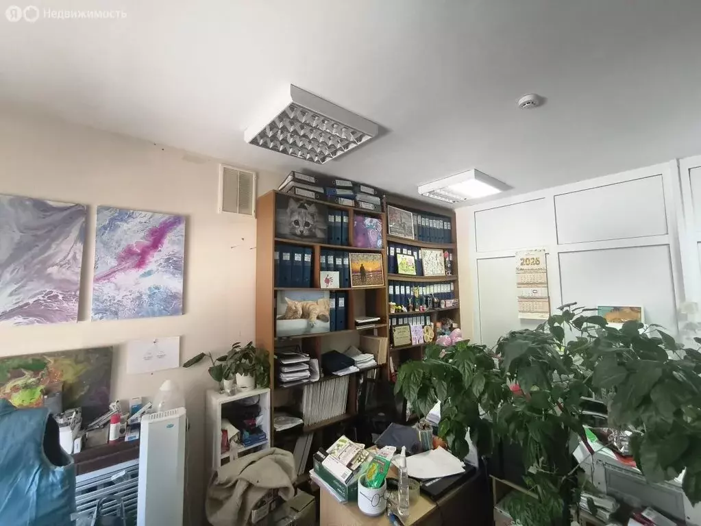 Офис (113.5 м) - Фото 2