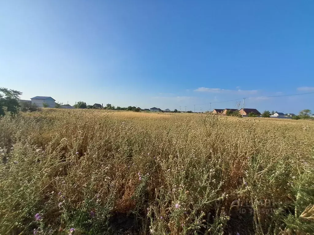Участок в Краснодарский край, Ейский район, с. Кухаривка Цветочная ул. ... - Фото 1