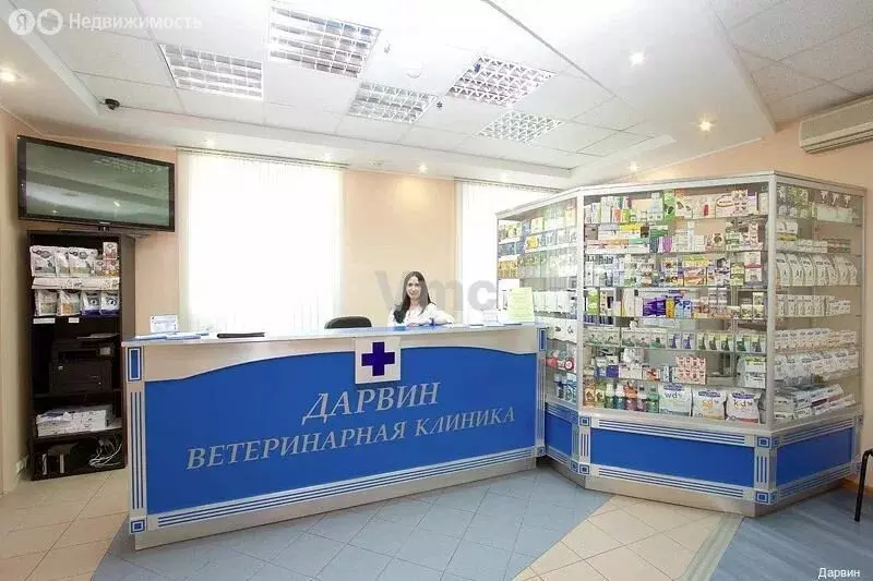 Офис (185.5 м) - Фото 1