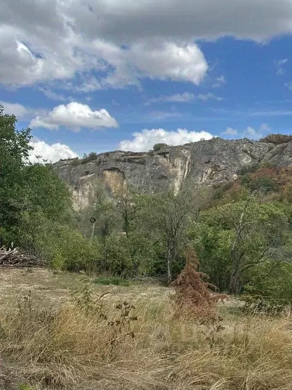 Участок в Крым, Белогорский район, Зеленогорское с/пос, с. Овражки ул. ... - Фото 1