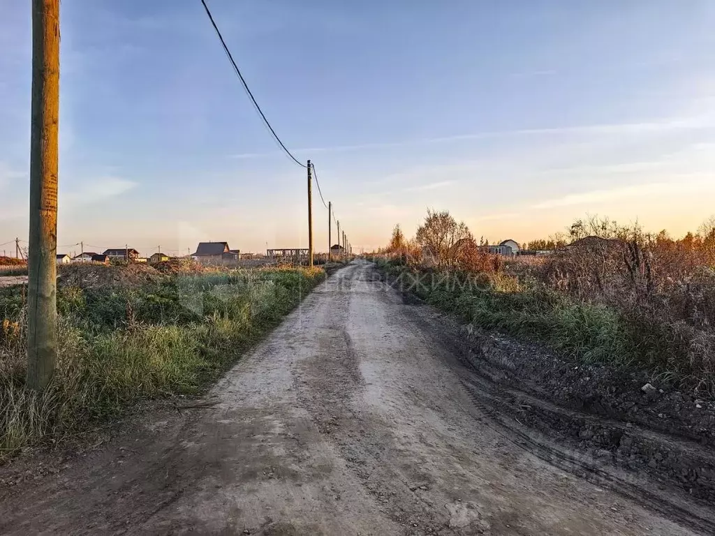 Участок в Тюменская область, Тюмень Большое Царево-2 СНТ, ул. Янтарная ... - Фото 2