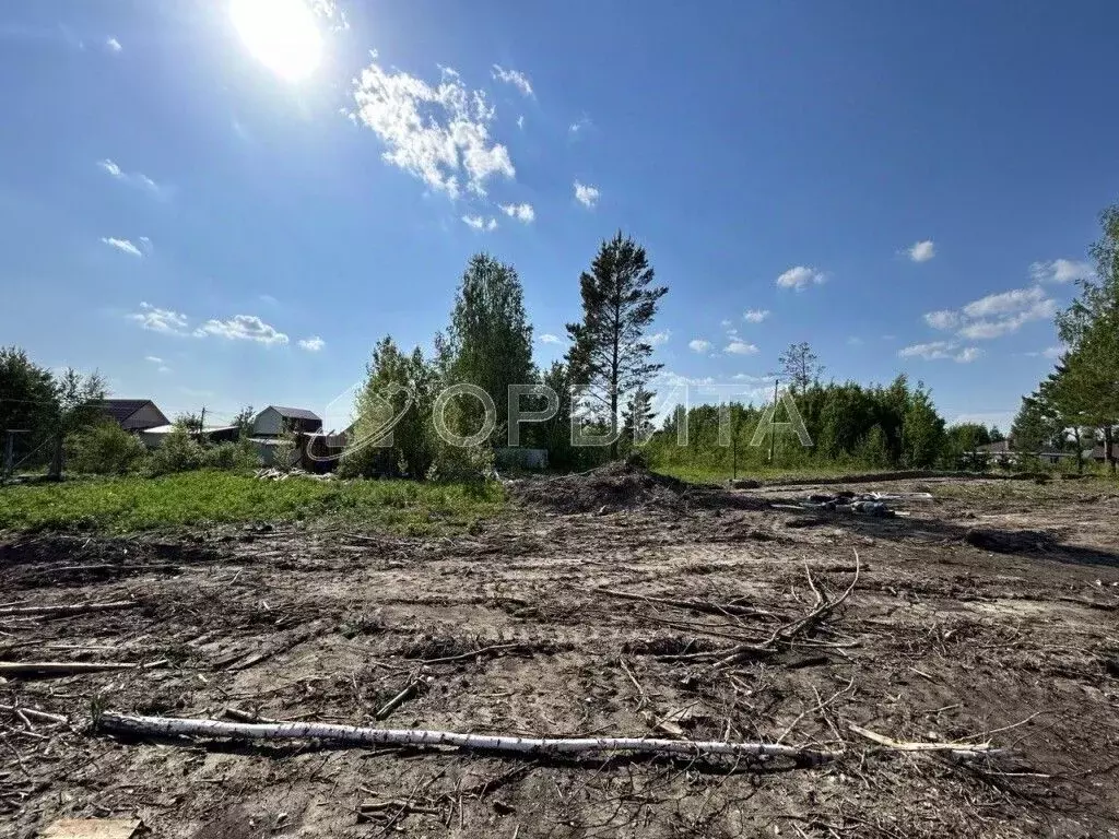 Участок в Тюменская область, Нижнетавдинский муниципальный округ, ... - Фото 1