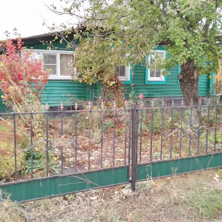 Дом 55,1 м на участке 36 сот. - Фото 1