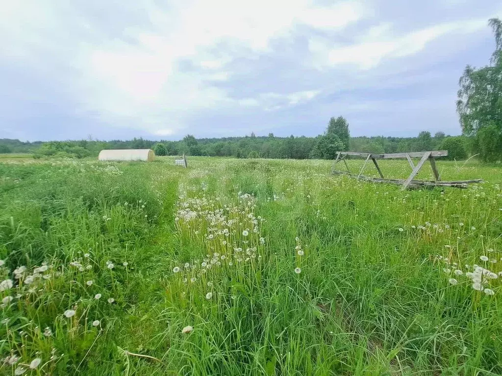 Участок в Вологодская область, Шекснинский муниципальный округ, ... - Фото 2
