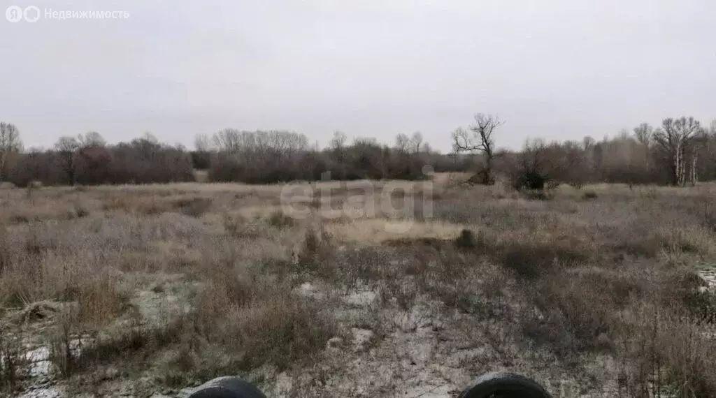 Участок в село Каменно-Верховка, улица Кирова (10 м) - Фото 1