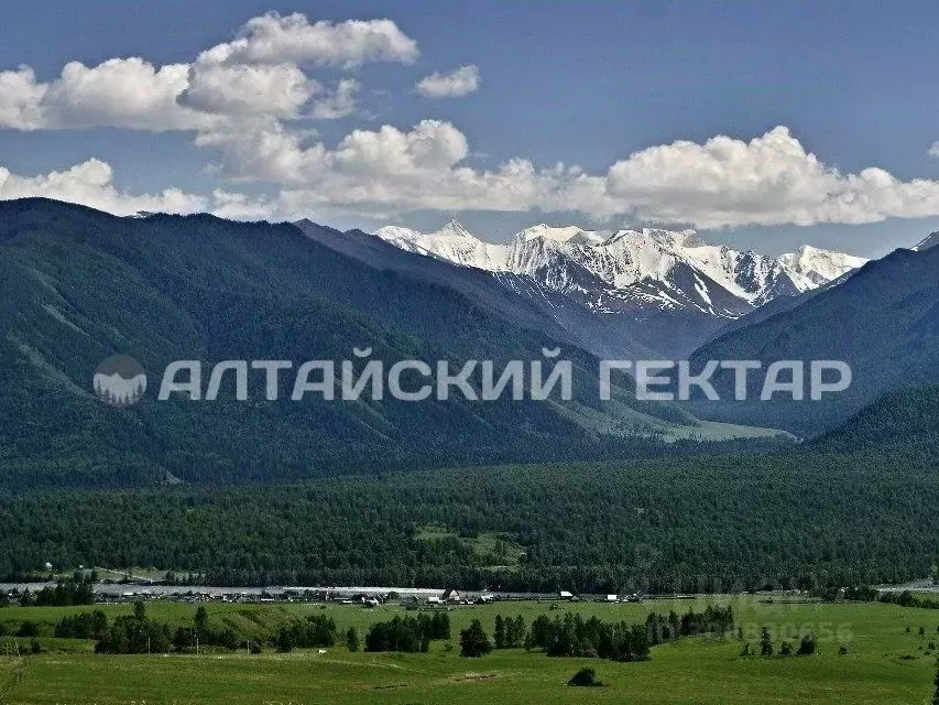 Участок в Алтай, Усть-Коксинский район, с. Катанда  (19.96 сот.) - Фото 0