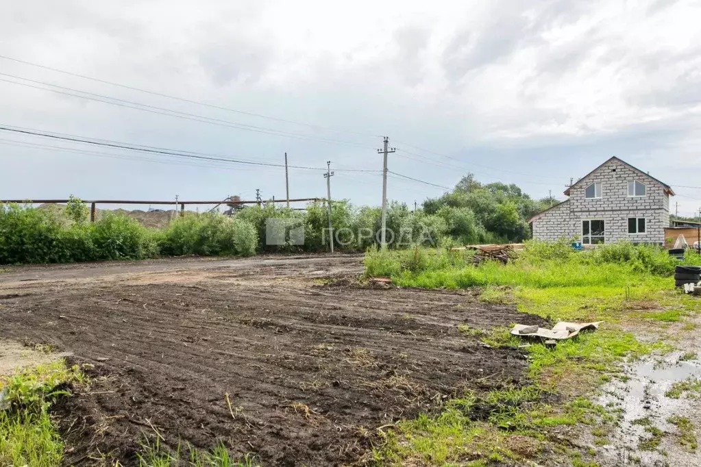 Участок в Новосибирская область, Новосибирский район, Кудряшовский ... - Фото 1