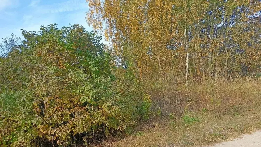 Участок в Московская область, Орехово-Зуевский городской округ, д. ... - Фото 1