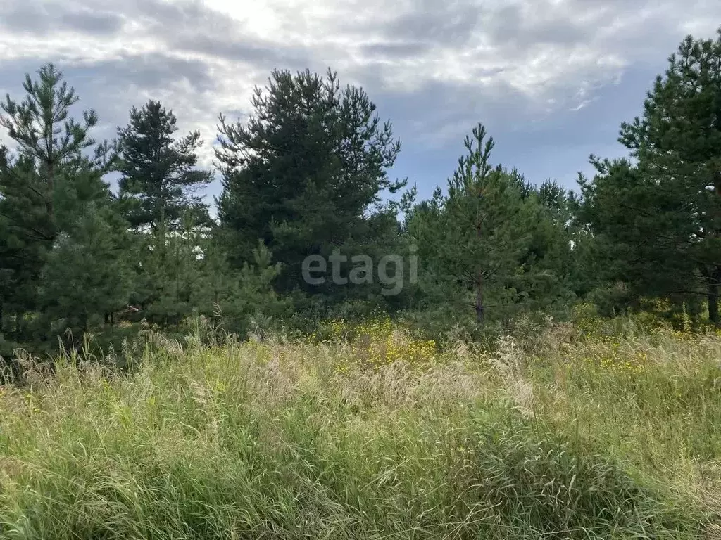 Участок в Ульяновская область, Ульяновск Восток СТ,  (10.0 сот.) - Фото 1