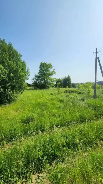 Участок в Нижегородская область, Нижний Новгород д. Ветчак, ул. ... - Фото 0