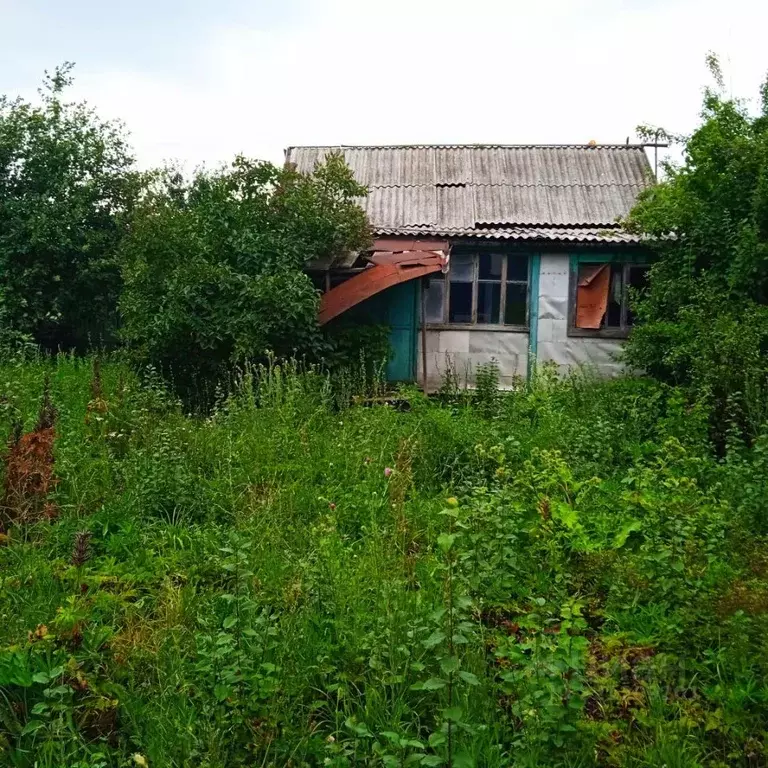 Участок в Саратовская область, Татищевский район, Ягодно-Полянское ... - Фото 1