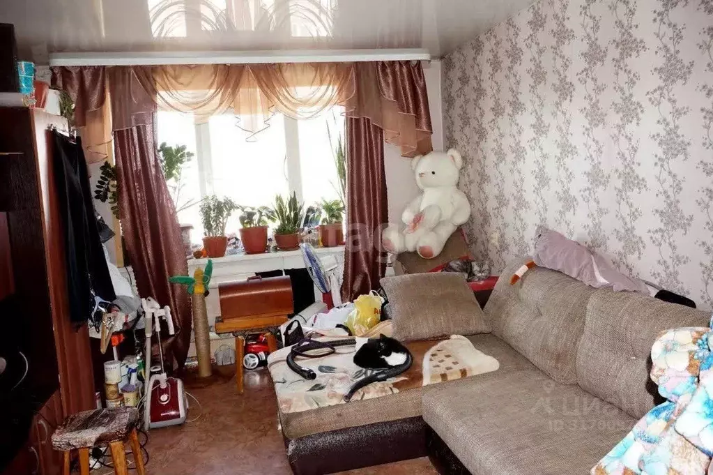 2-к кв. Алтайский край, Бийск Социалистическая ул., 76 (49.7 м) - Фото 1