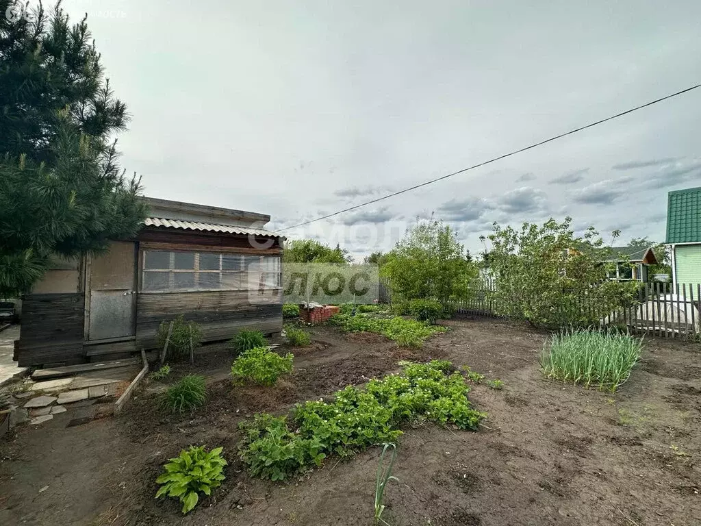 Дом в муниципальный округ Омский район, село Дружино (17.8 м) - Фото 2