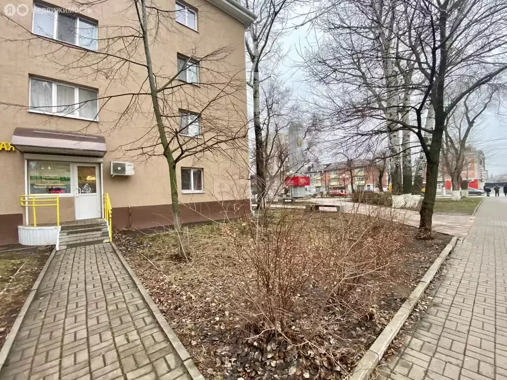 Офис (29.7 м) - Фото 2