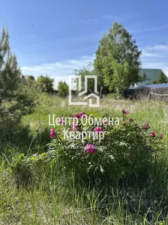 Участок в Иркутская область, Иркутск  (9.2 сот.) - Фото 1
