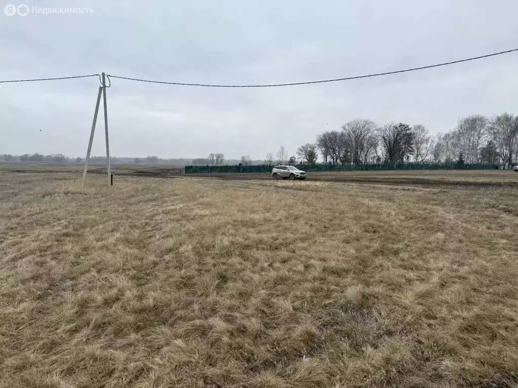 Участок в село Белозёрки, Озёрная улица (12.5 м) - Фото 2
