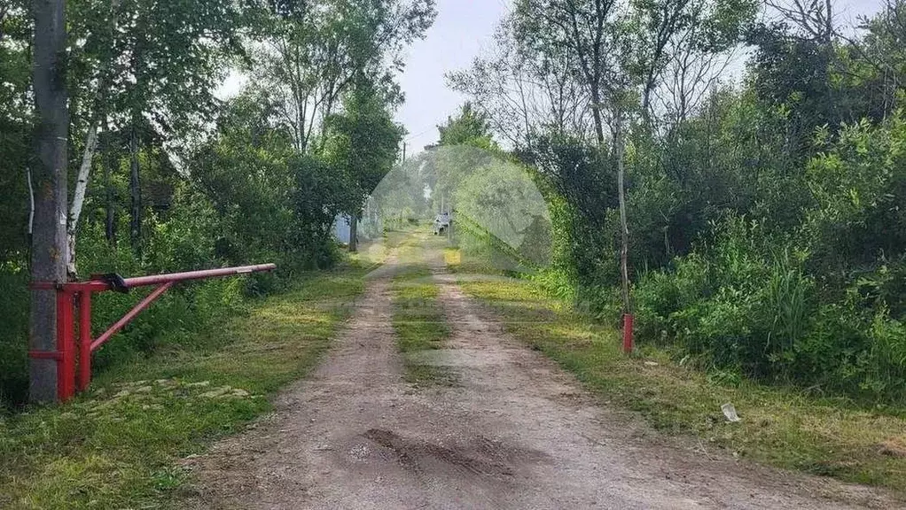 Дом в Новгородская область, Новгородский район, Панковское городское ... - Фото 2
