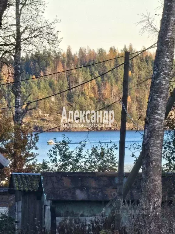 Участок в Карелия, Лахденпохья Заводская ул. (10.0 сот.) - Фото 1