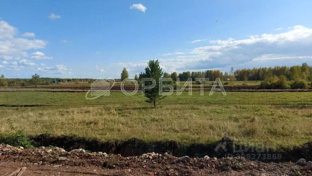 Участок в Тюменская область, Нижнетавдинский район, с. Тюнево  (7.5 ... - Фото 1