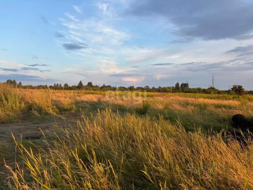 Участок в Алтайский край, Бийск ул. Антона Скалона, 116 (14.6 сот.) - Фото 1
